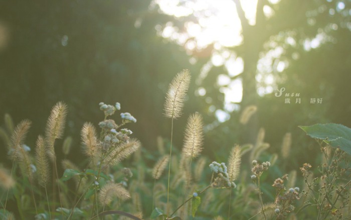 自強不息，不負青春，不負紫光